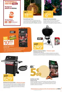 Vista previa Jardiland folleto válido desde el 02.04.2026 | Página: 9 | Productos: Té, Barbacoa, Parrilla, Plancha