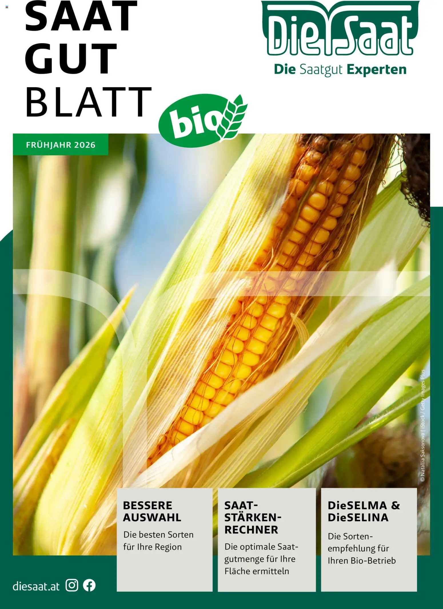 Lagerhaus - Frühjahr 2026 gültig ab 01.03.2026 | Seite: 1