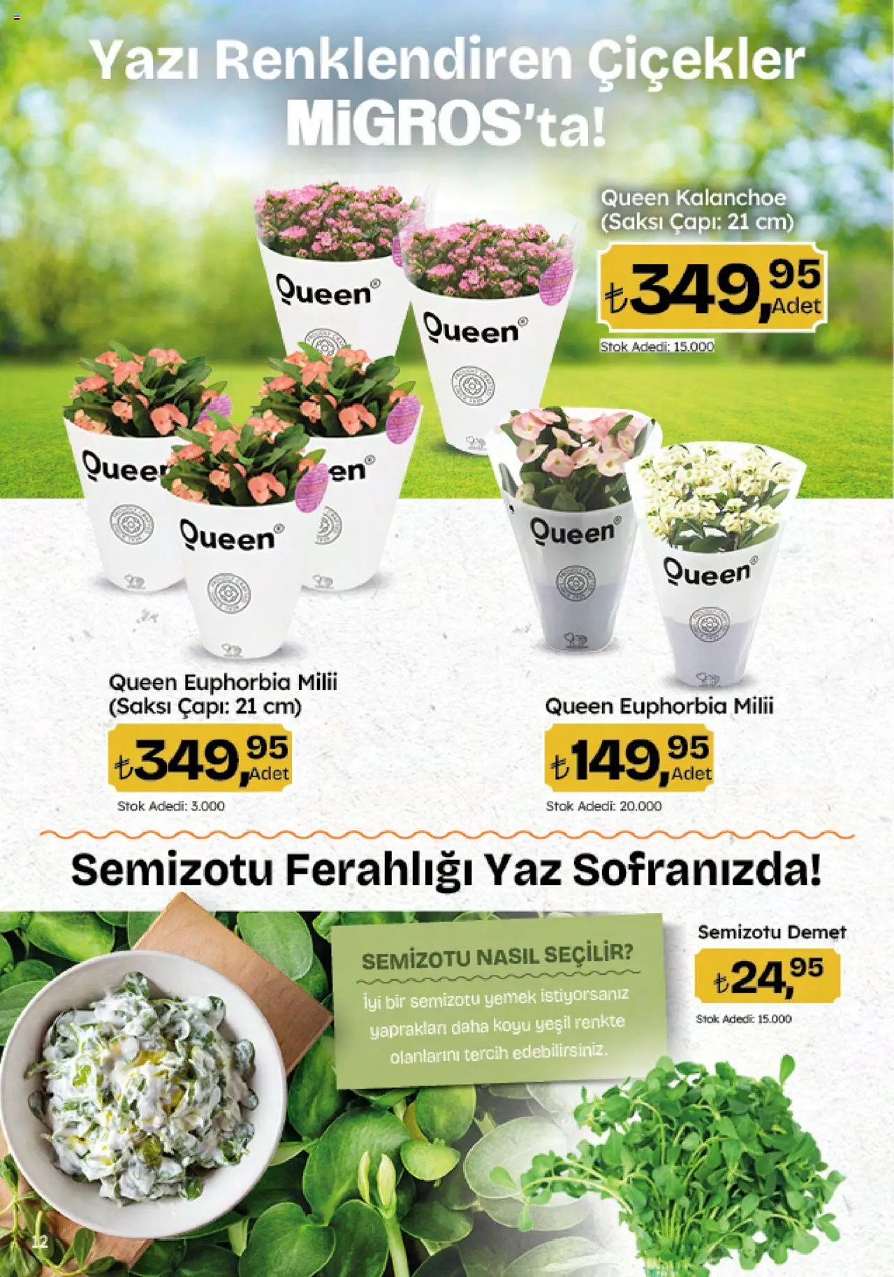 Migros Katalog - Migroskop - 26.06.2025 tarihinden itibaren geçerlidir | Sayfa: 12 | Ürünler: Saksı