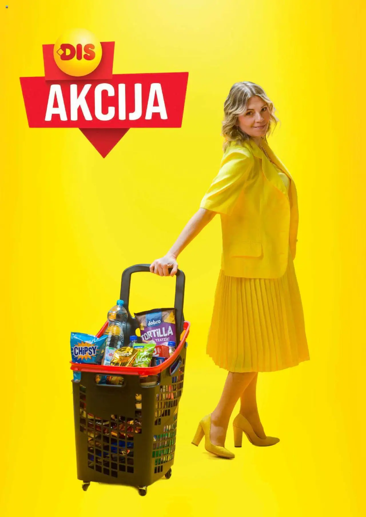 DIS katalog - važi od 25.07.2025 | Strana: 4