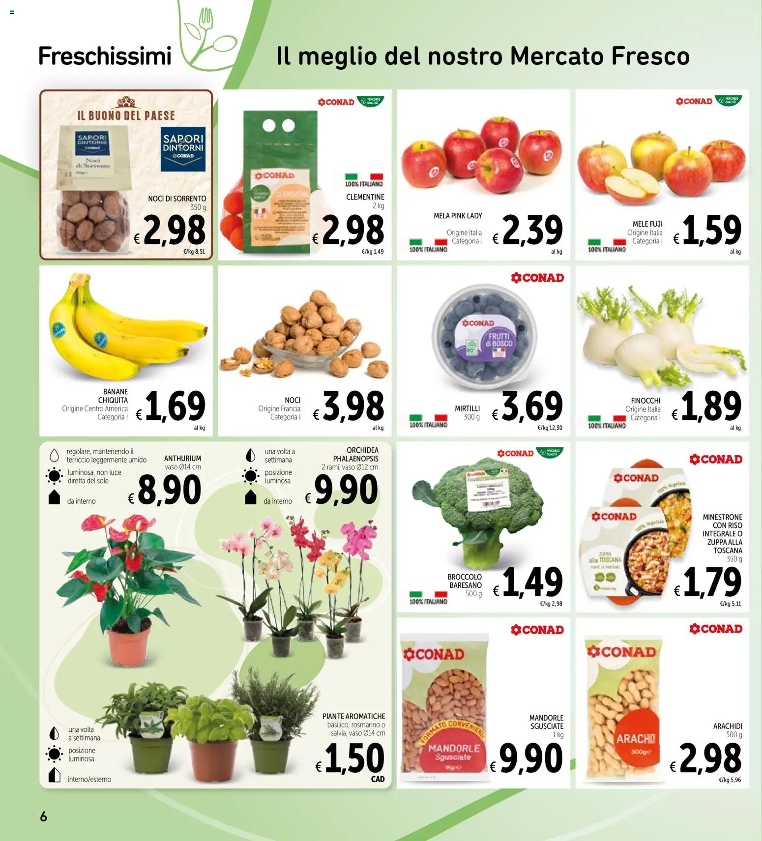Volantino Spazio Conad del 11.11.2025 | Pagina: 6 | Prodotti: Minestrone, Mirtilli, Arachidi, Terriccio