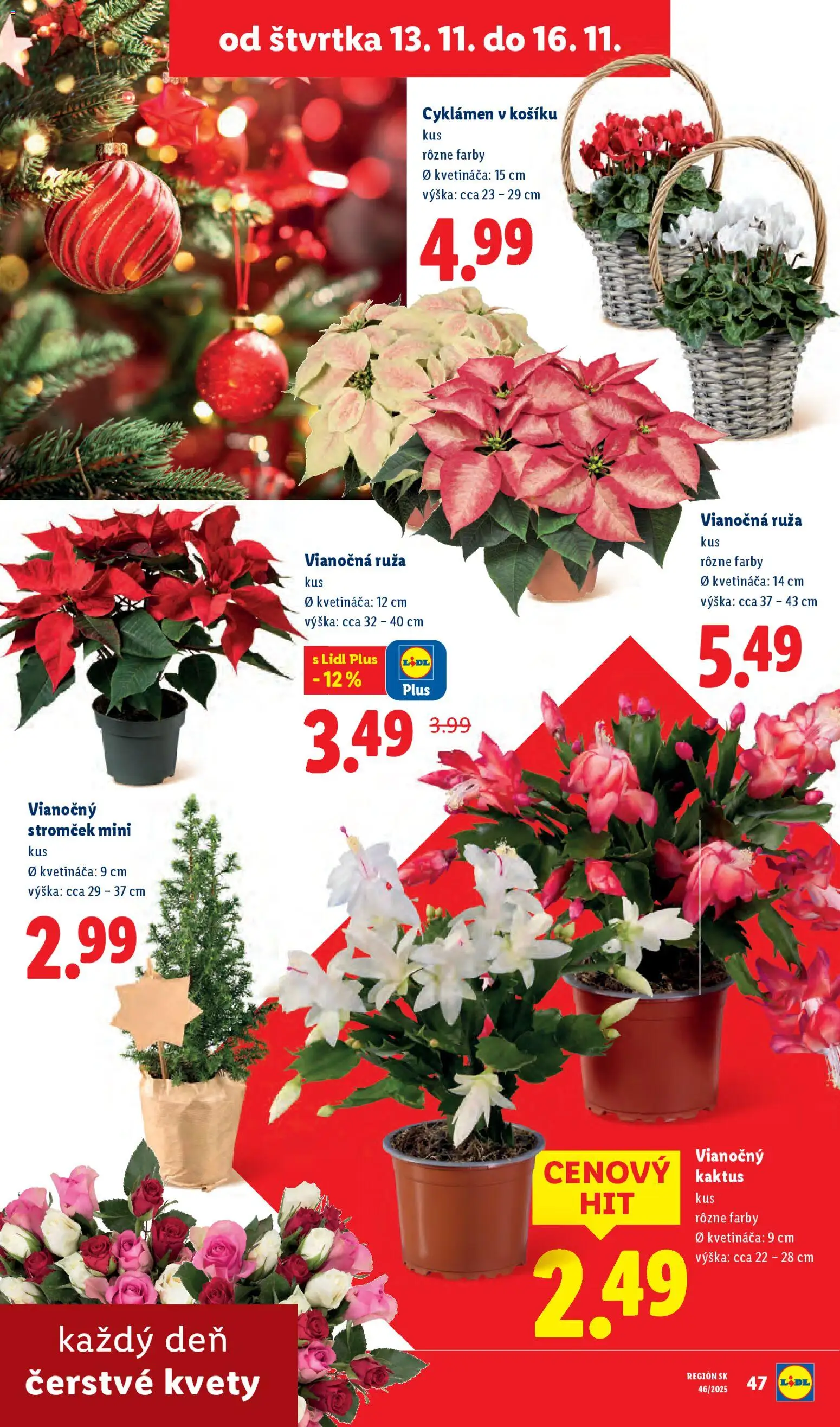 Nové Lidl akcie – leták je platný od 13.11.2025 | Strana: 35 | Produkty: Vianočný stromček, Kvety