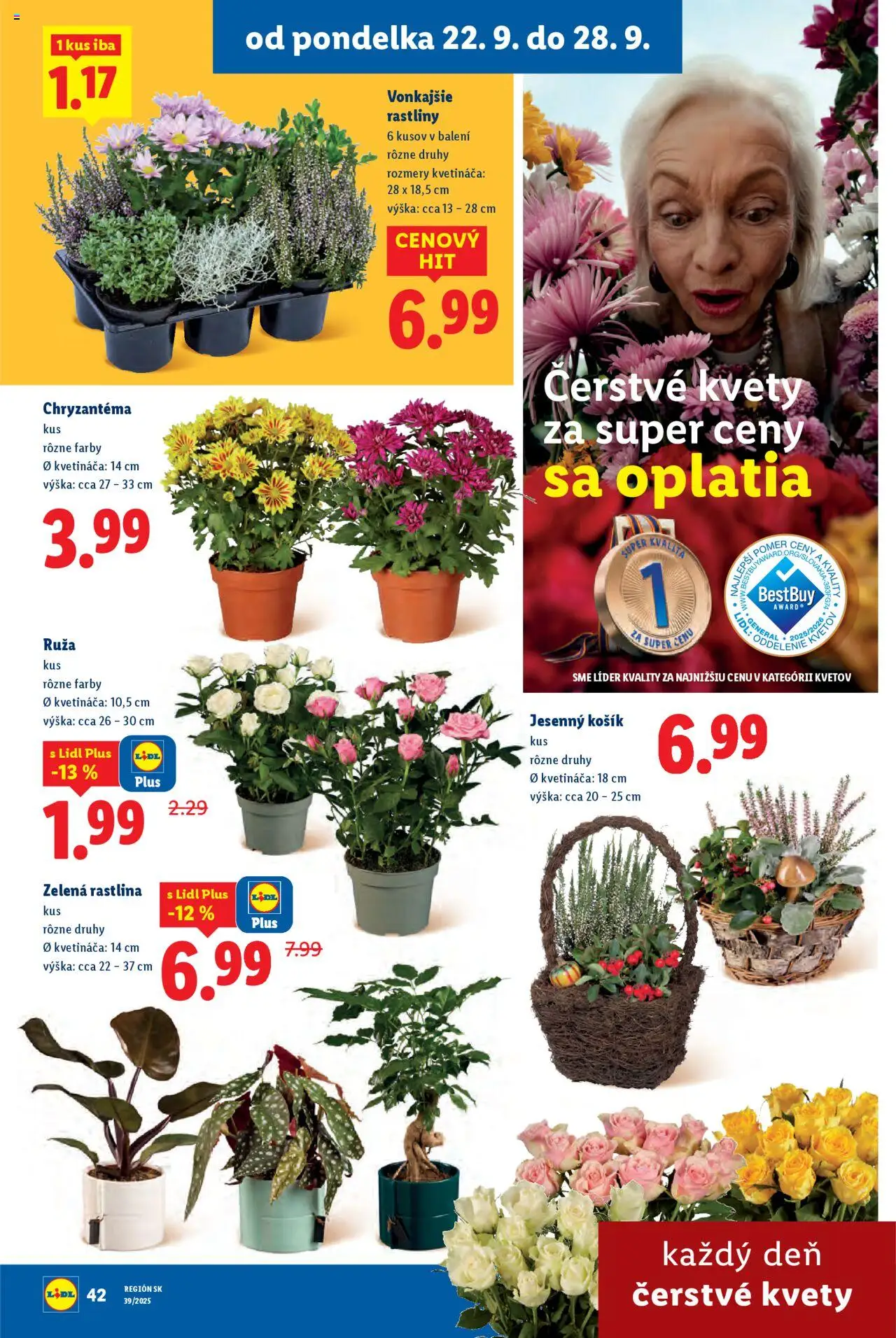Nové Lidl akcie – leták je platný od 22.09.2025 | Strana: 48 | Produkty: Kvety