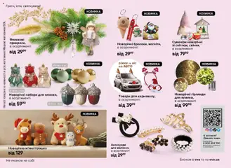 Eva акції дійснийкції з 13.11.2025 | Сторінка: 44