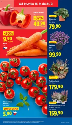 Paprika červená, 1 kg od 18.09.2025 | Strana: 11 | Produkty: Mrkev, Košík, Paprika, Paprika červená