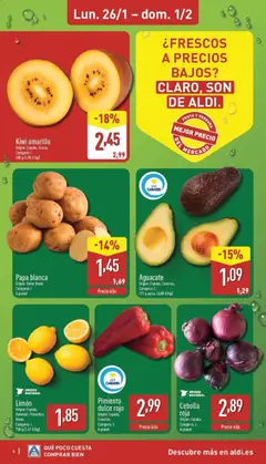 Vista previa Cebolla roja, Cebolla roja. Origen: España. Categoría: I. A granel válido desde el 26.01.2026 | Página: 4