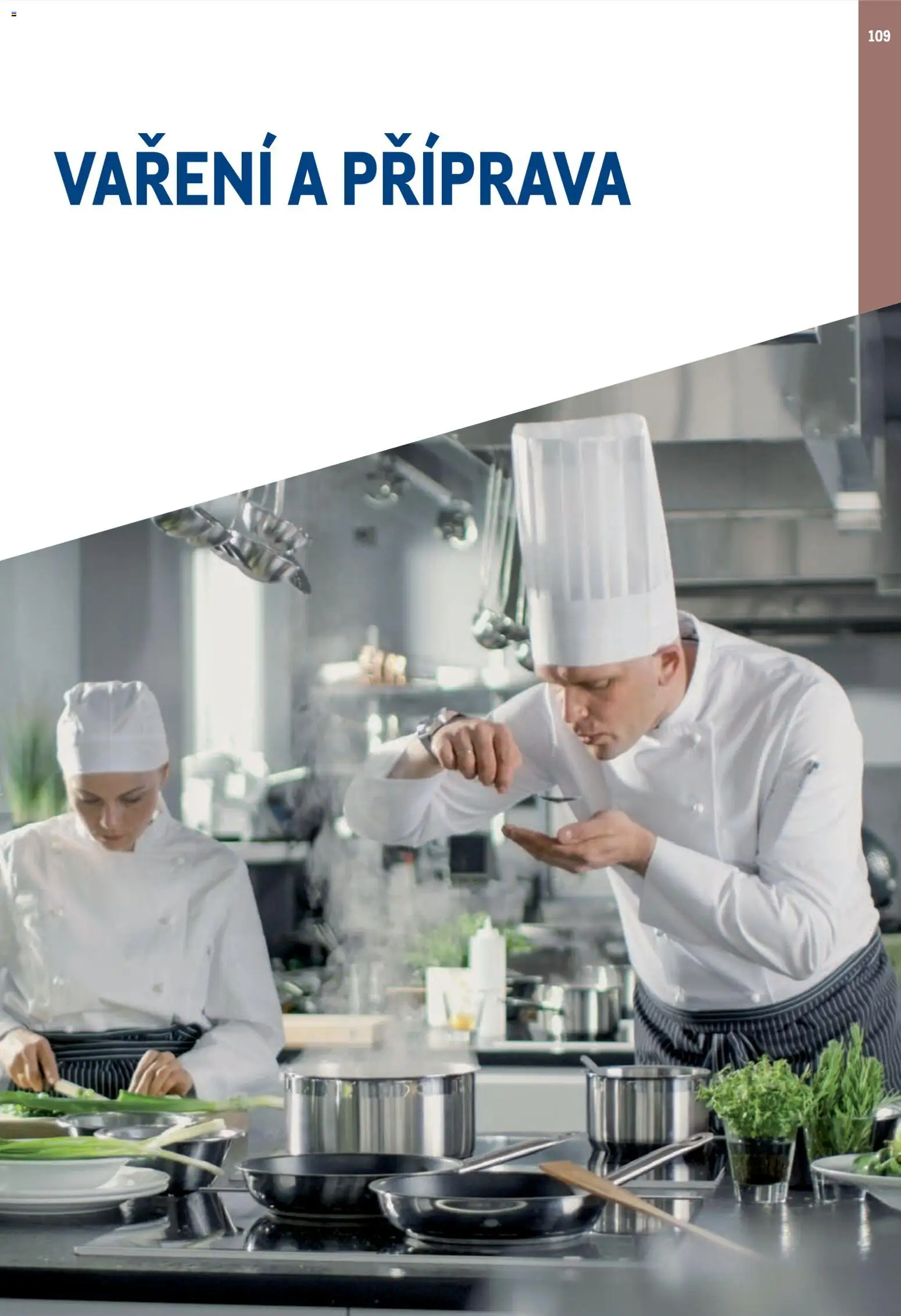 Makro leták - Gastro vybavení a zařízení od 01.02.2026 | Strana: 109