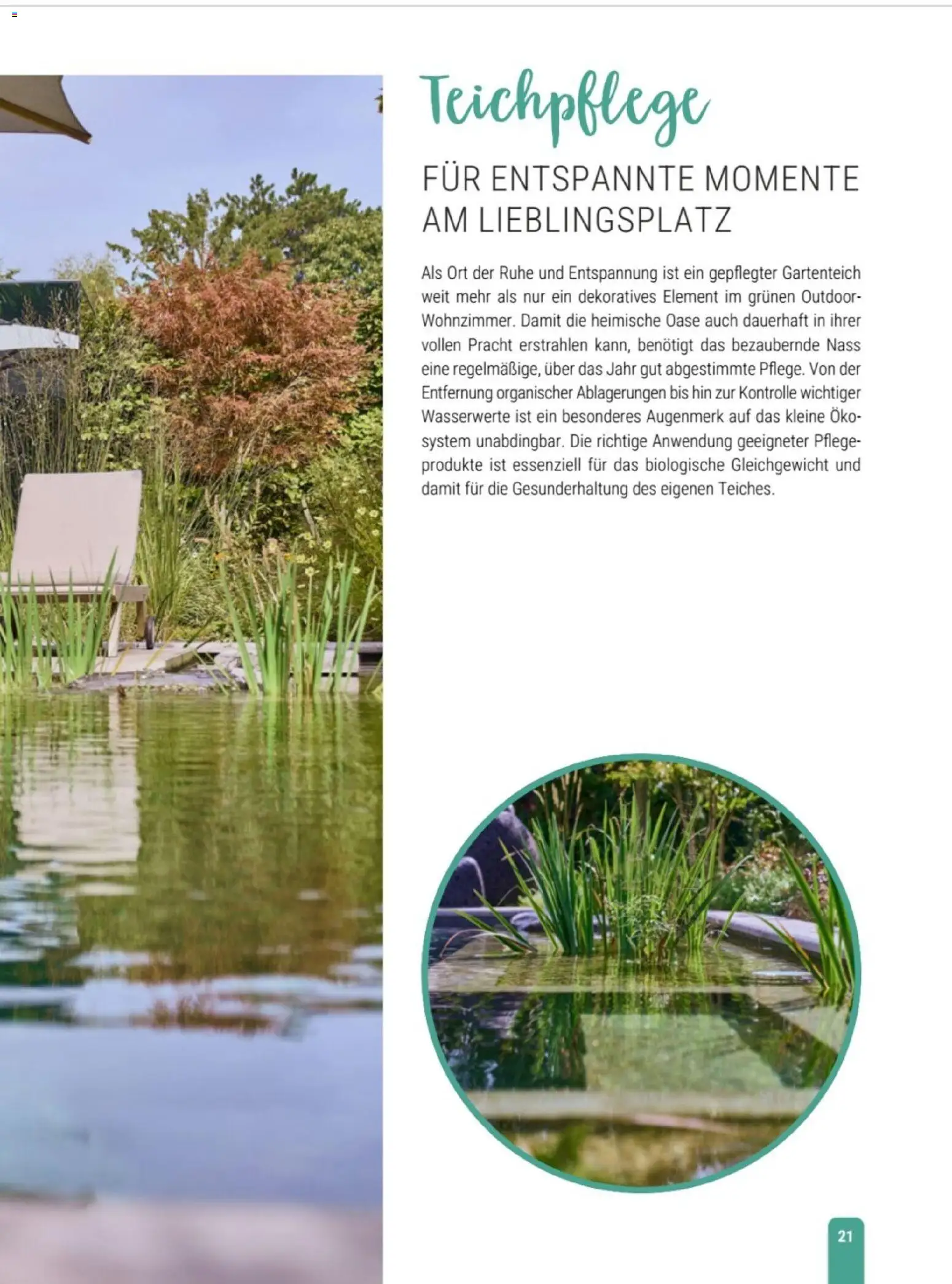 zookauf Themenkatalog Teich – gültig ab 23.03.2026 | Seite: 21