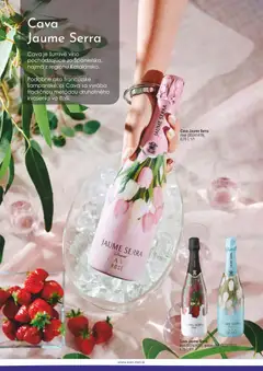 KON - RAD leták platný od 08.12.2025 | Strana: 34 | Produkty: Víno, Šumivé víno