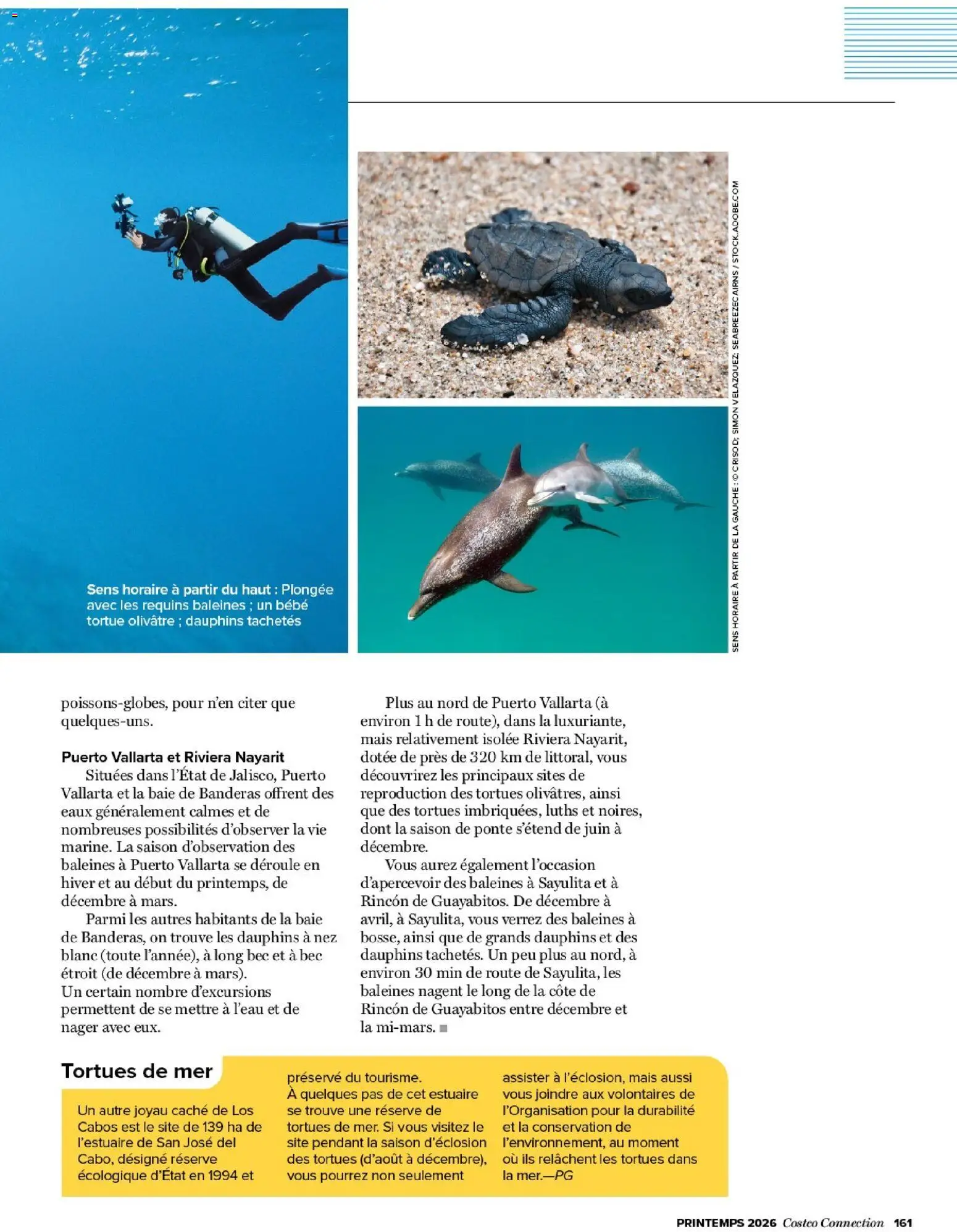 {H1} | Page: 161 | Produits: Mais