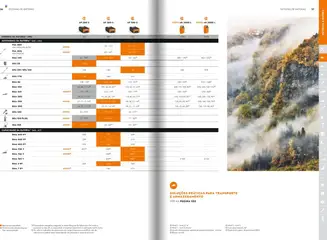 Pré-visualização Stihl folheto válido de 21.01.2025 | Página: 19 | Produtos: Bateria