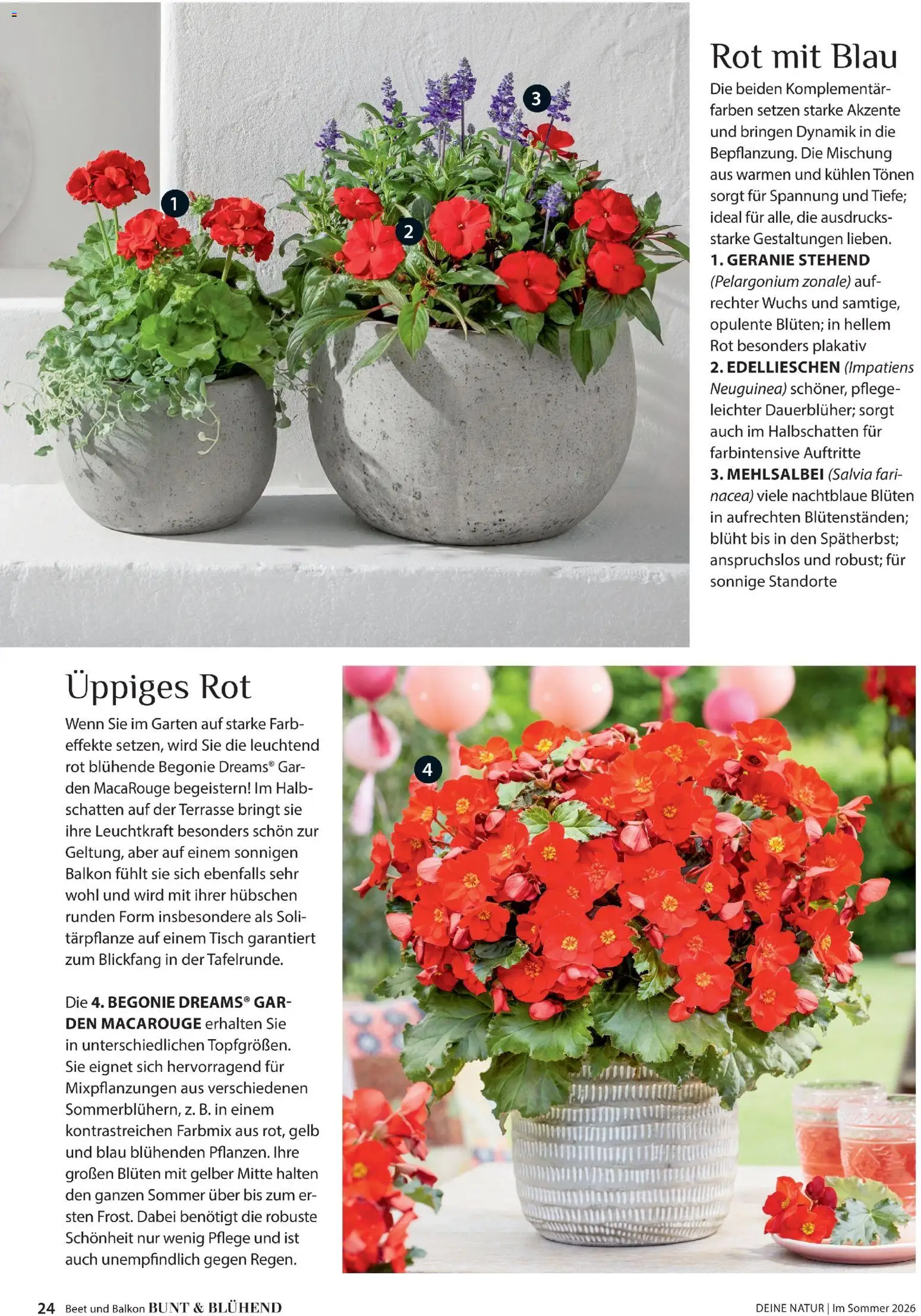 Dehner Prospekt 	 – gültig ab 17.04.2026 | Seite: 24 | Produkte: Tisch