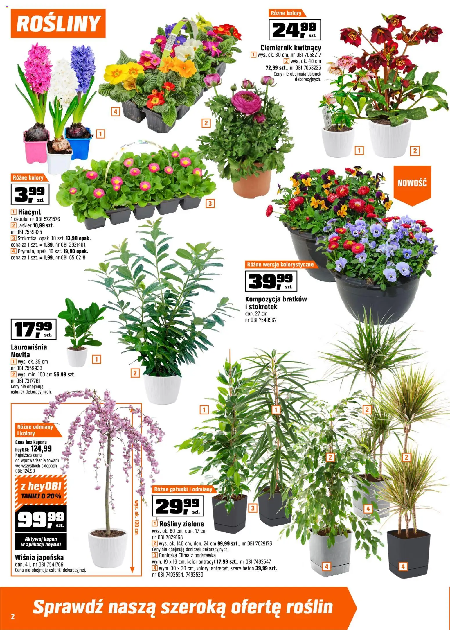 OBI gazetka od 11.03.2026 | Strona: 2 | Produkty: Doniczka, Rosliny