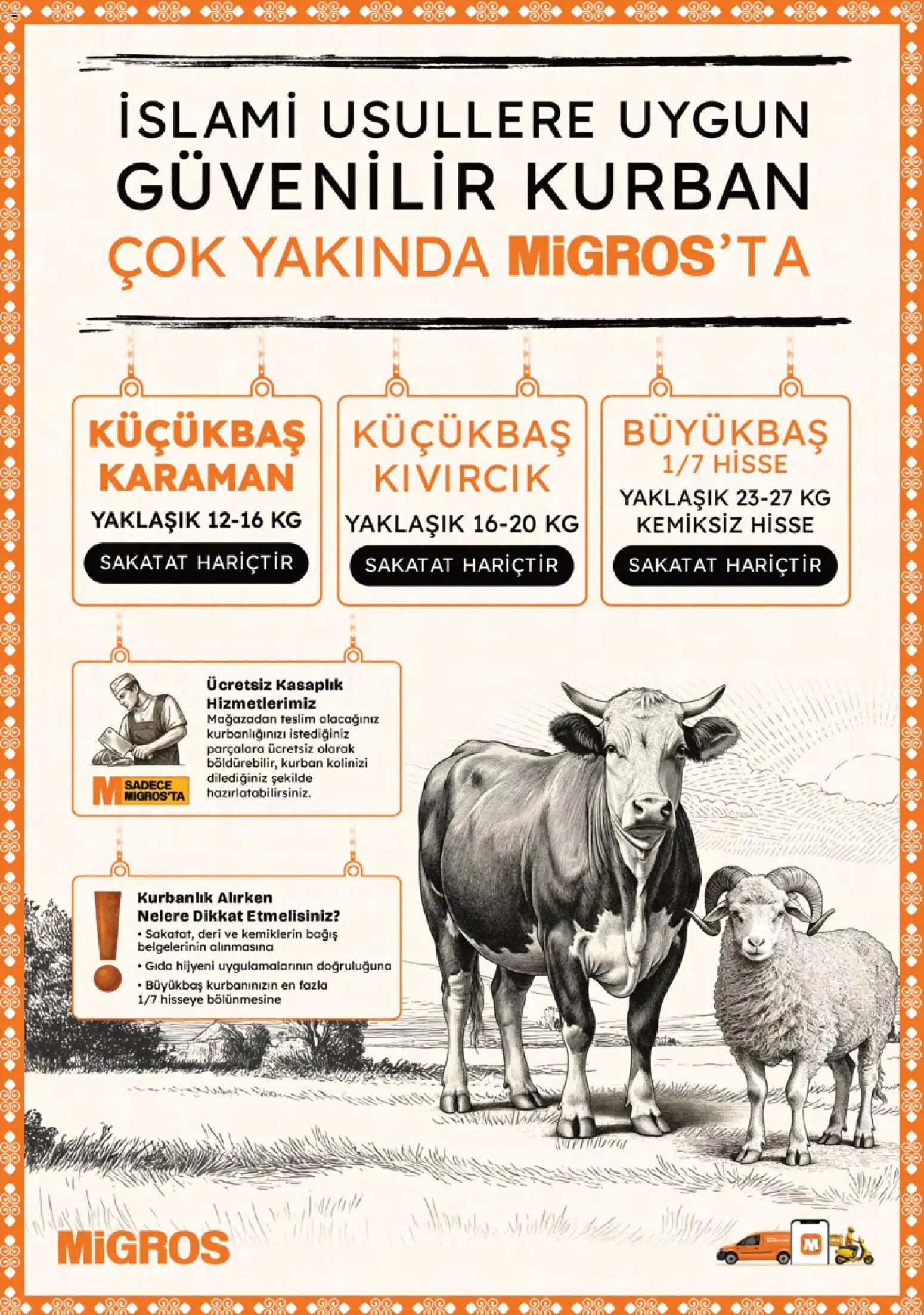 Migros Katalog - 5M Migroskop Dijital - 16.04.2026 tarihinden itibaren geçerlidir | Sayfa: 118 | Ürünler: Sakatat