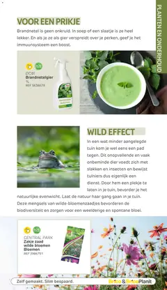 Brico Plan-it Tuincatalogus - Voorbeeld van een folder van Brico Plan-it, geldig van 10.03.2026 | Pagina: 105 | Producten: Bloemen, Kom