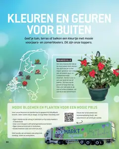 Dekamarkt folder - Magazine - Voorbeeld van een folder van Dekamarkt, geldig van 07.04.2026 | Pagina: 20 | Producten: Pot, Bloemen, Vazen, Geur