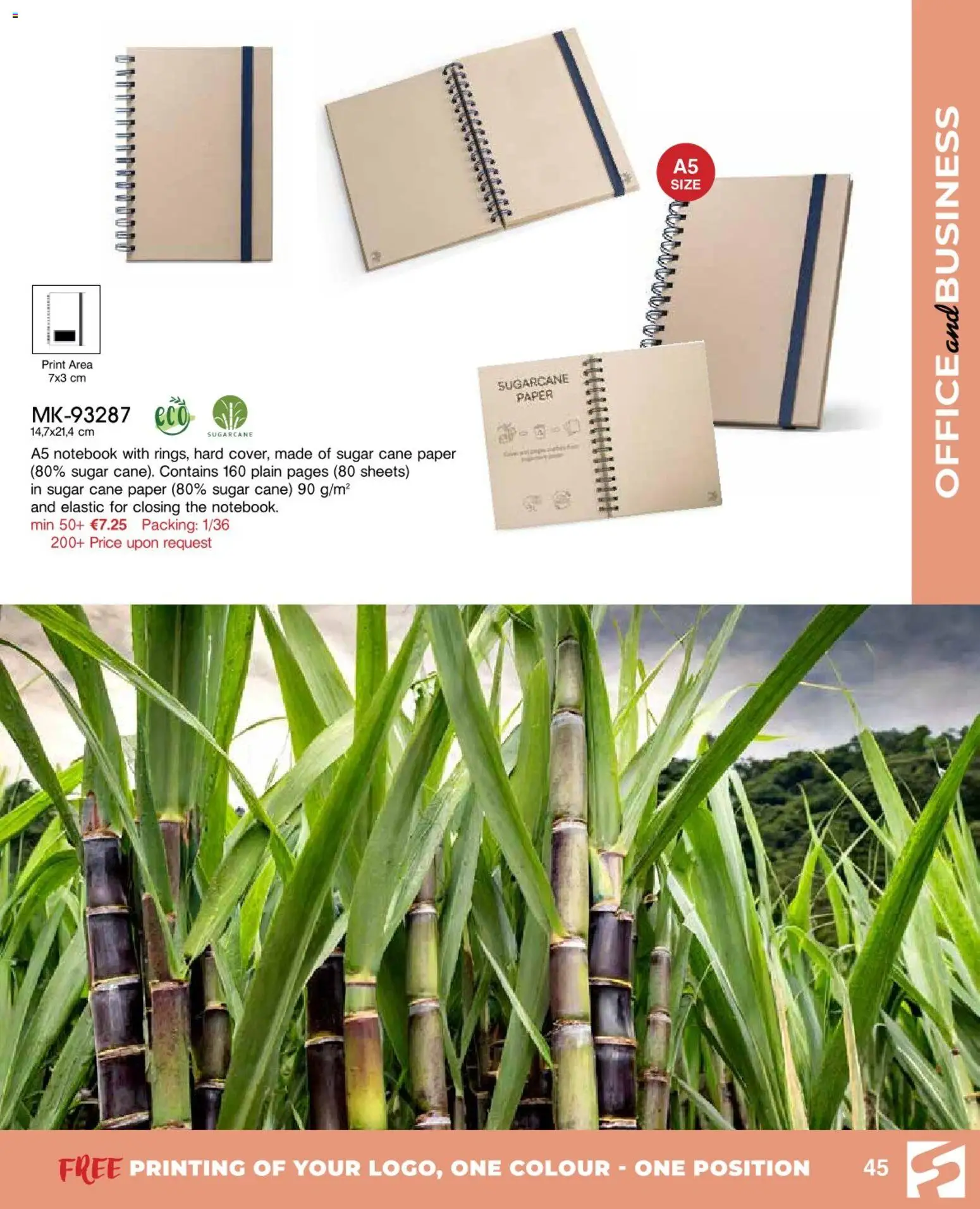 Sapo Giveaways Catalogue – σε ισχύ από 07.01.2026 | Σελίδα: 45