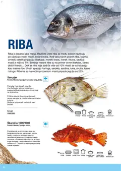 Metro riba i plodovi mora - pregled Metro kataloga - važi od 10.12.2025 | Strana: 4 | Proizvode: Losos, Riba