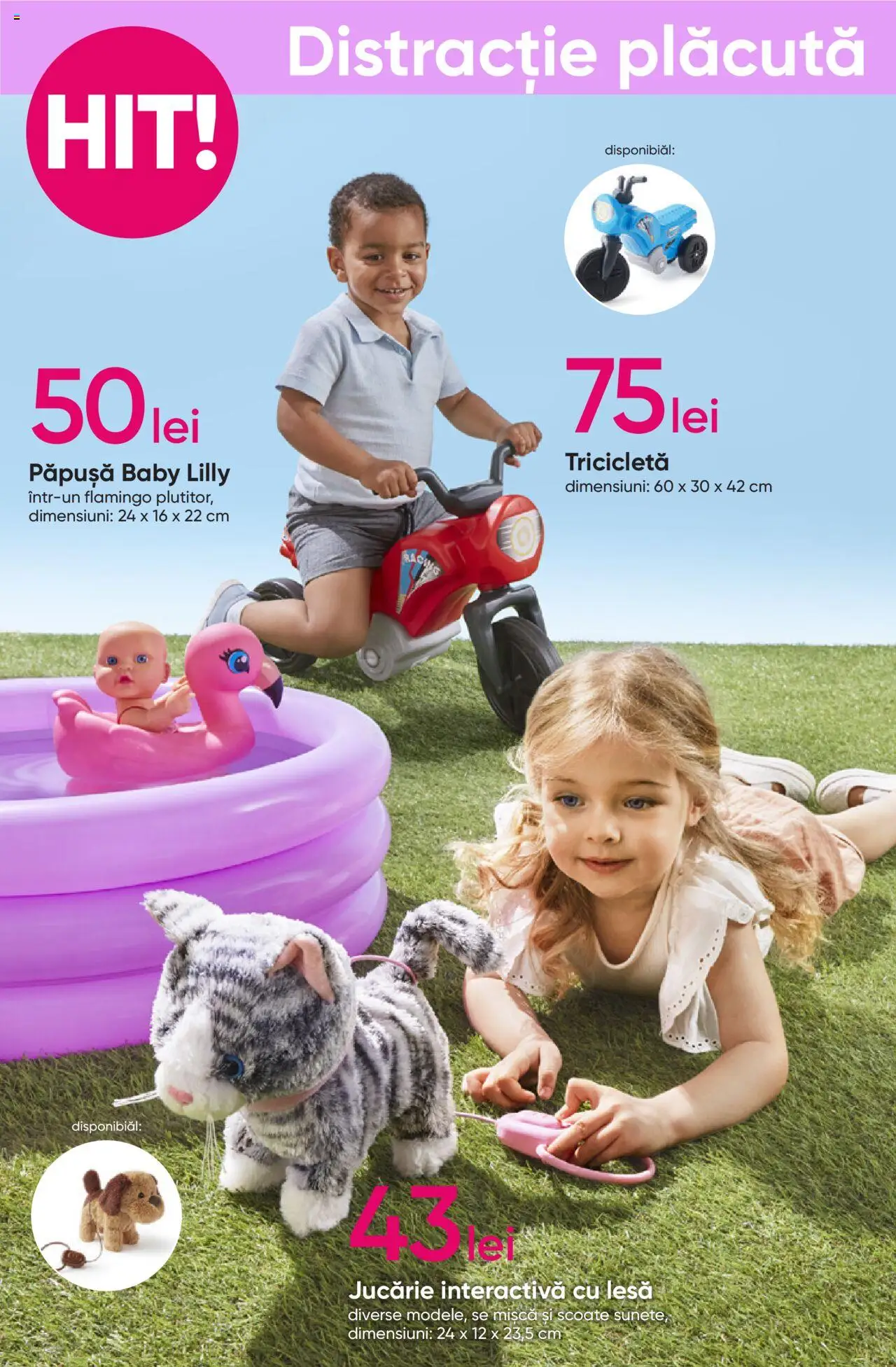 Catalog Pepco – valabil de la 22.05.2025 | Pagină: 12