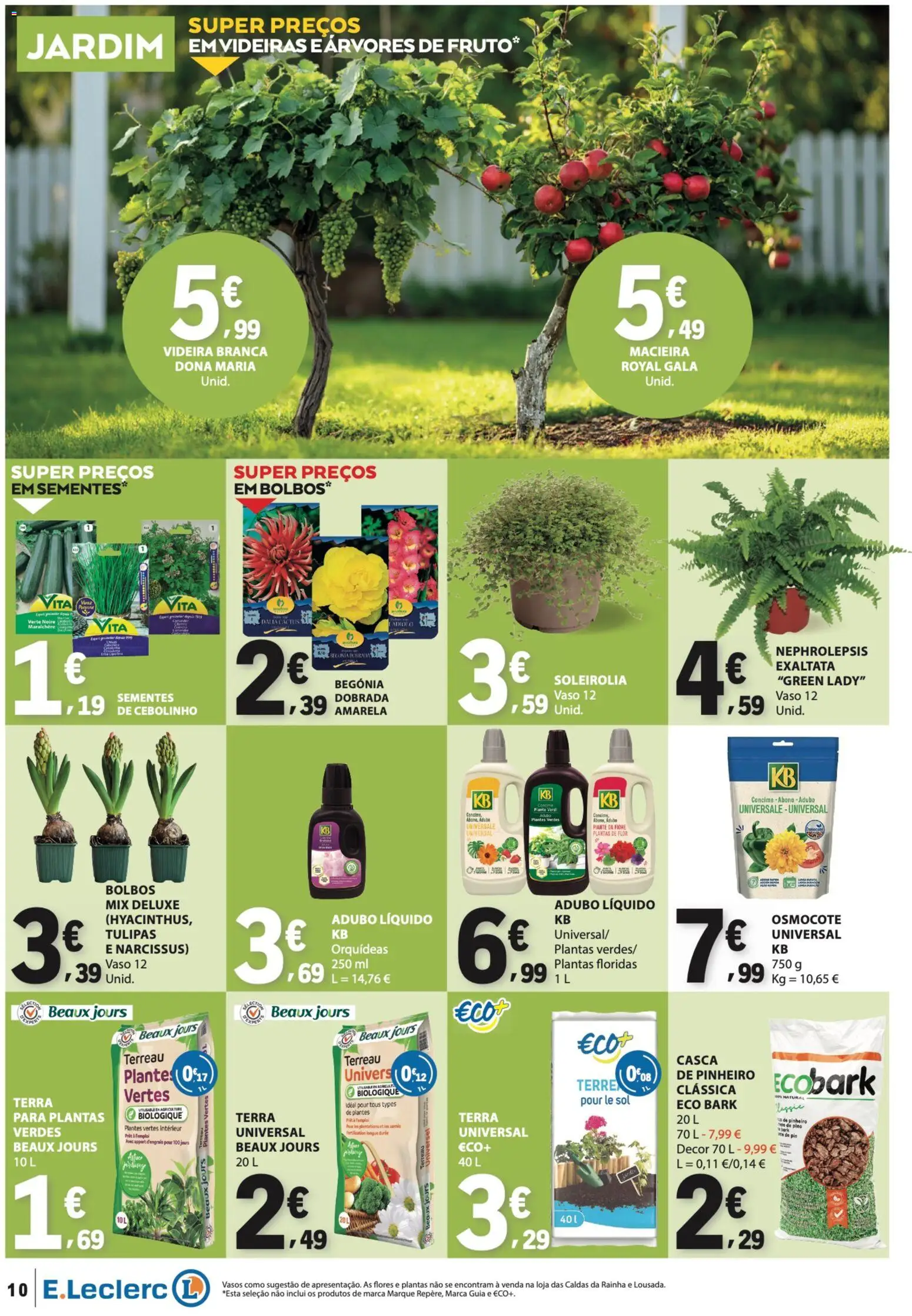 E.Leclerc Não Alimentar │ válido de 26.02.2026 | Página: 10 | Produtos: Flores, Vaso