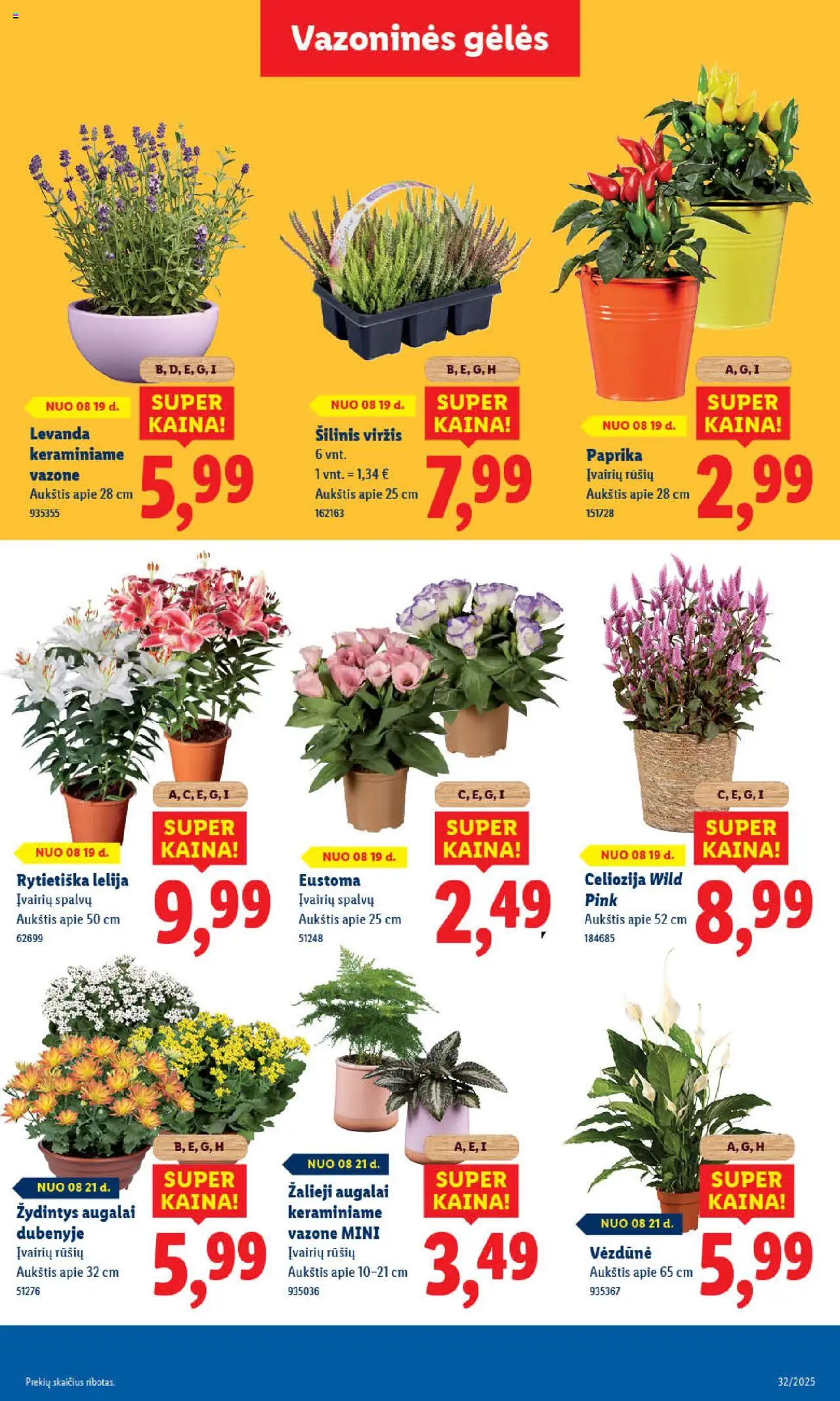 LIDL leidinys│galioja nuo 18.08.2025 | Puslapis: 53 | Prekių: Paprika