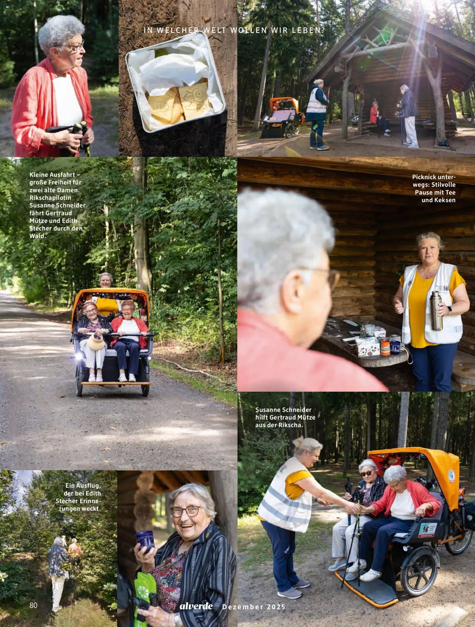 dm drogerie Prospekt 	 – gültig ab 01.01.2026 | Seite: 80