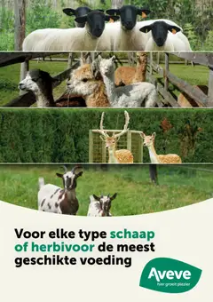 Aveve Gids kleine herkauwers - Voorbeeld van een folder van Aveve, geldig van 23.02.2026