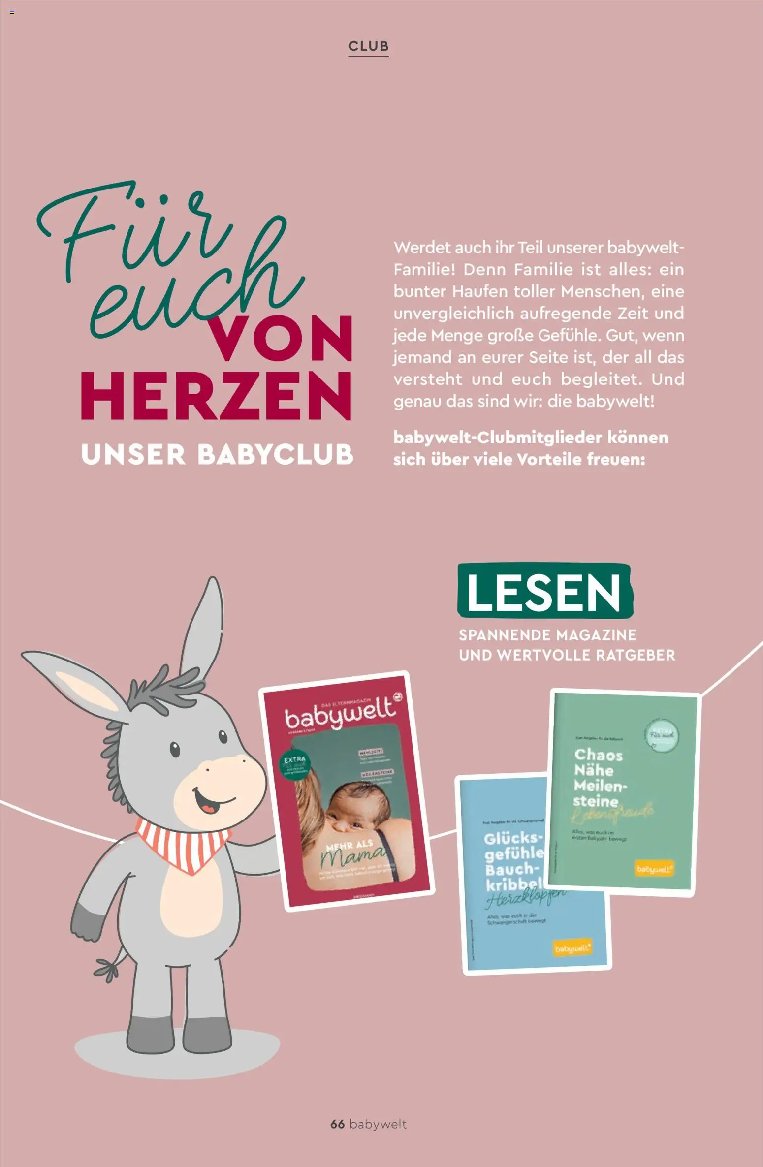 Rossmann babywelt Elternmagazin – gültig ab 11.12.2025 | Seite: 66