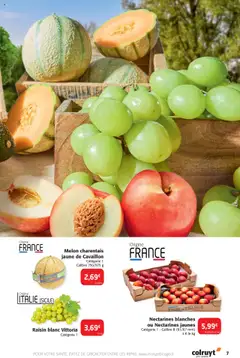  | Page: 7 | Produits: Melon, Raisin, Plateau