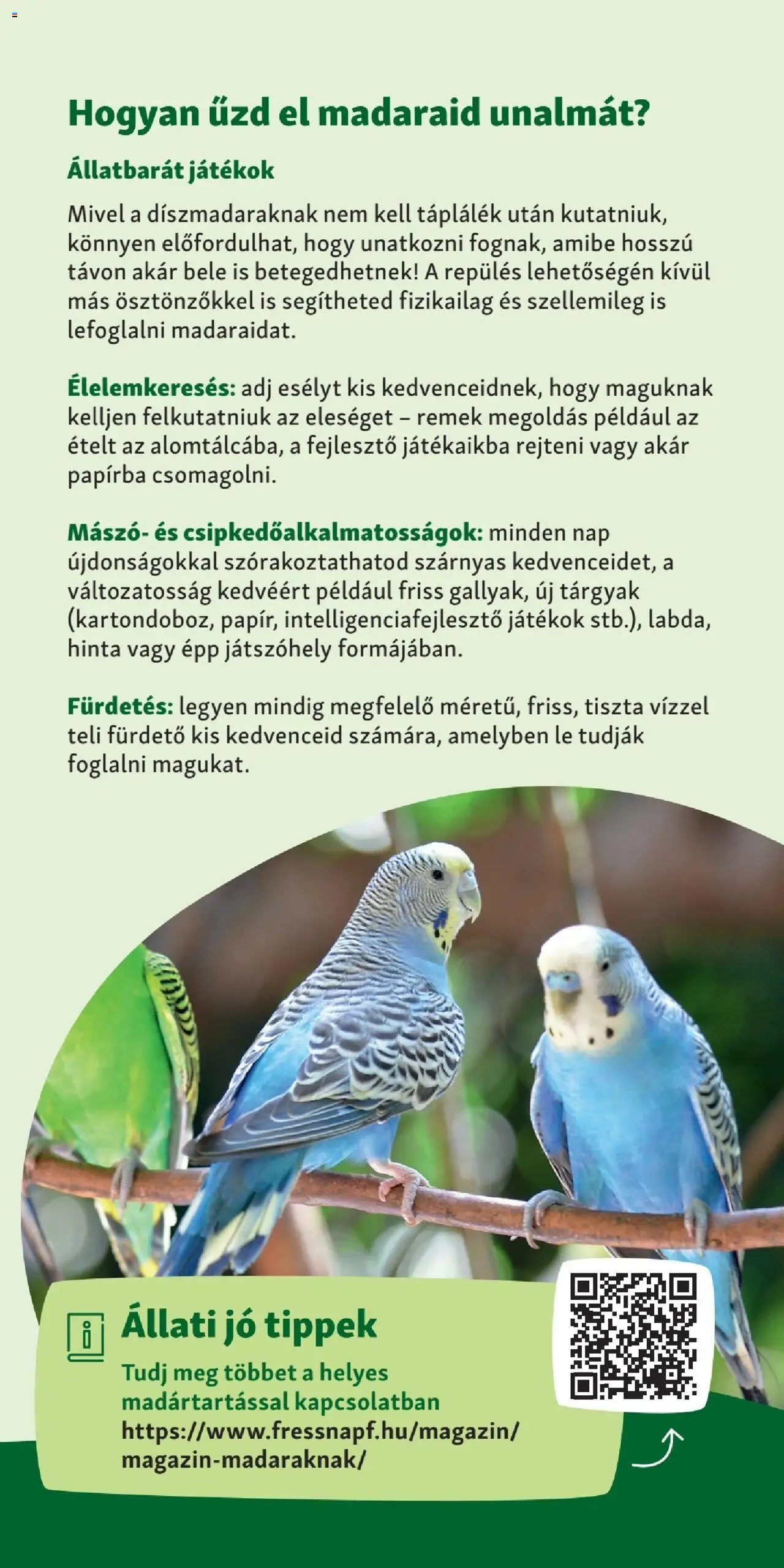 Fressnapf akciós ujság - amely érvényes a következő dátumtól: 06.04.2025 | Oldal: 3 | Termékek: Játékok, Hinta