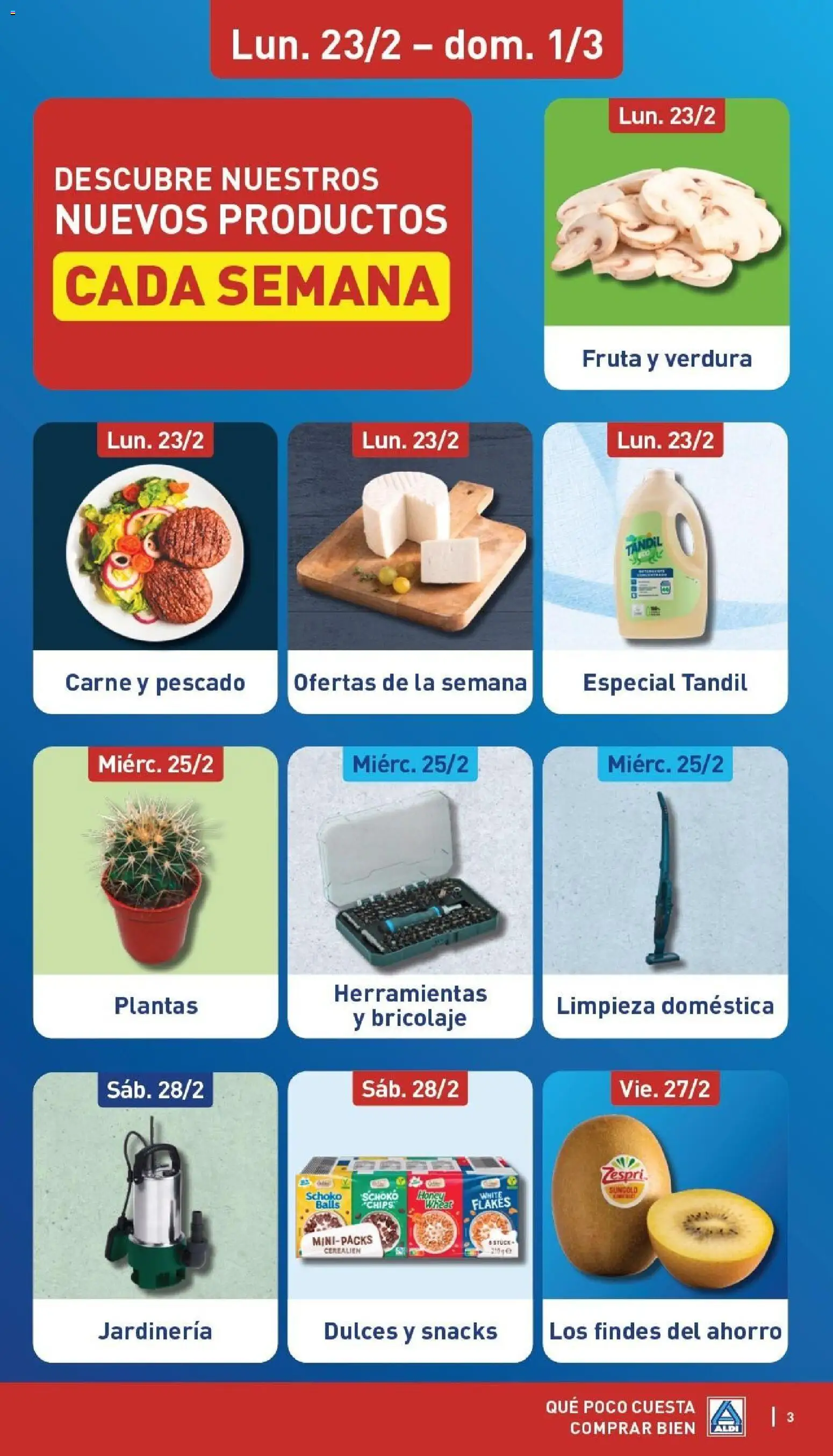 Aldi folleto Canarias │ válido desde el 23.02.2026 | Página: 3 | Productos: Pescado, Kiwi