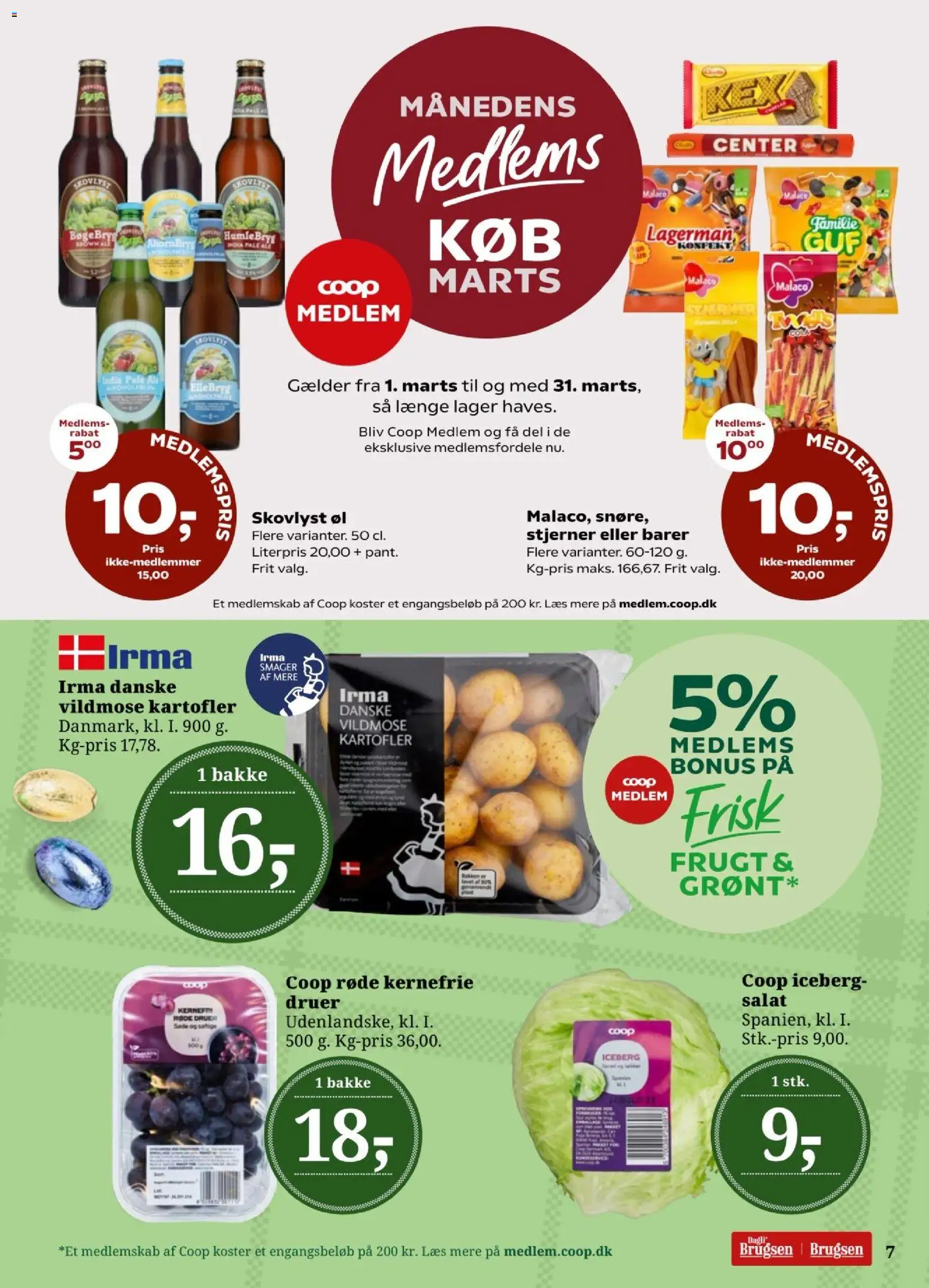 Dagli'Brugsen tilbudsavis – gyldig fra 27.03.2026 | Side: 7 | Produkter: Øl, Salat, Kartofler