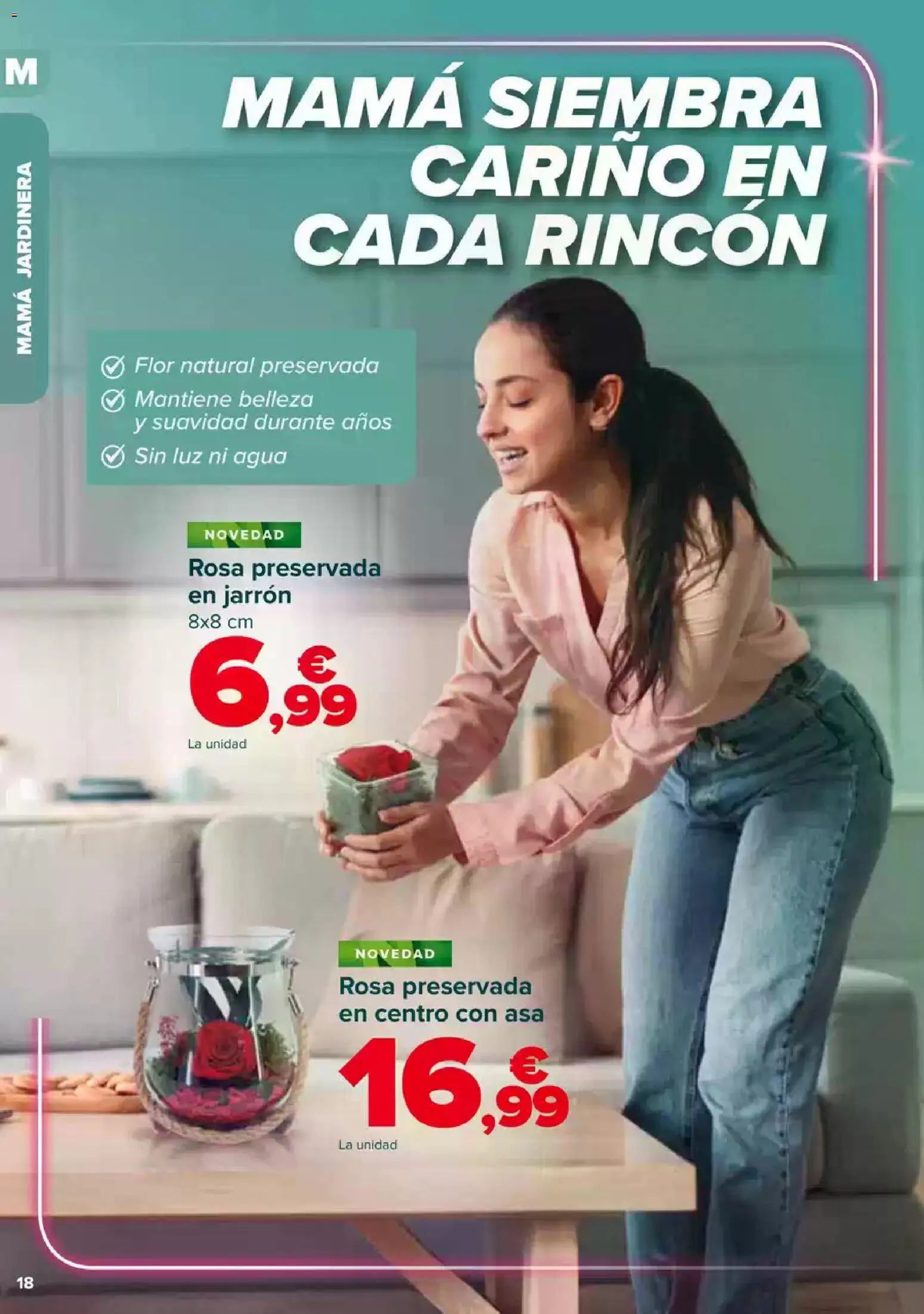 Carrefour Dia de la Madre │ válido desde el 23.04.2026 | Página: 18 | Productos: Jardinera, Jarrón