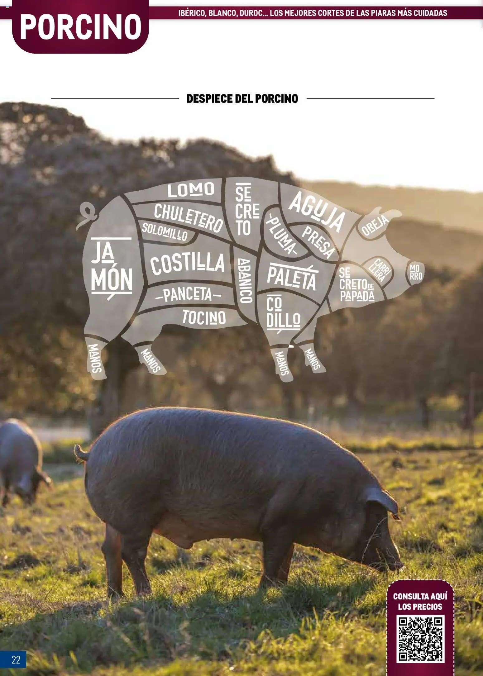 Makro - Especial Carnes Península │ válido desde el 03.11.2025 | Página: 22 | Productos: Ηλεκτρικός φούρνος