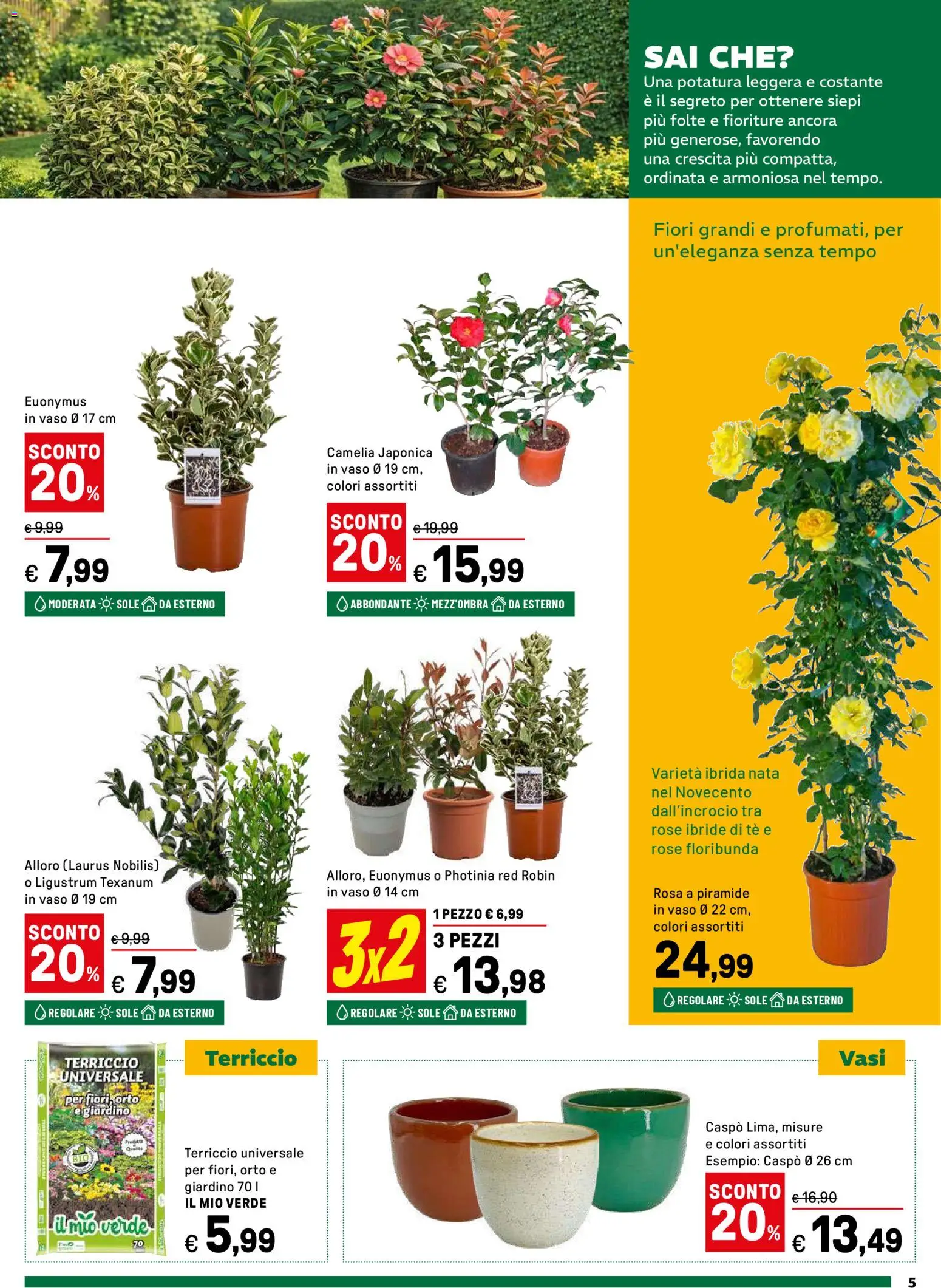 Volantino Iper del 16.03.2026 | Pagina: 5 | Prodotti: Tè, Terriccio, Vaso