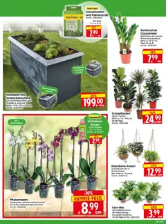 HERKULES Bau & Garten ab 02.02.2026 gültig | Seite: 2 | Produkte: Hochbeet