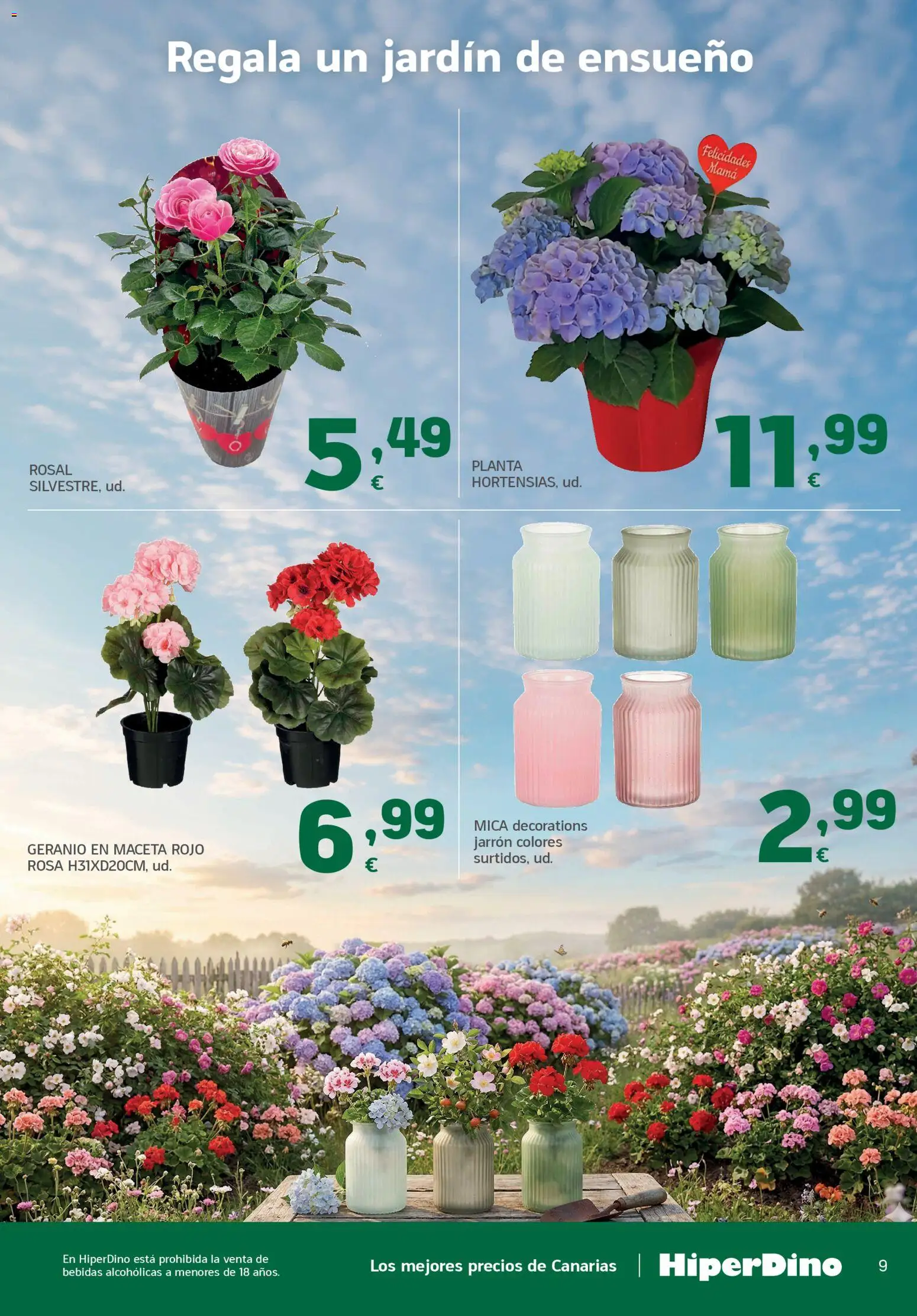 HiperDino folleto │ válido desde el 23.04.2026 | Página: 9 | Productos: Maceta, Jarrón