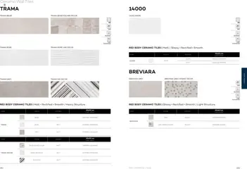Preview of Rak Ceramics Surfaces Catalogue valid from 17.12.2024 | Page: 93