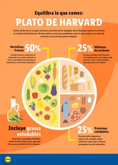 Lidl folleto │ válido desde el 23.06.2025 | Página: 14 | Productos: Aceite, Cereales, Pasta, Aceite de oliva