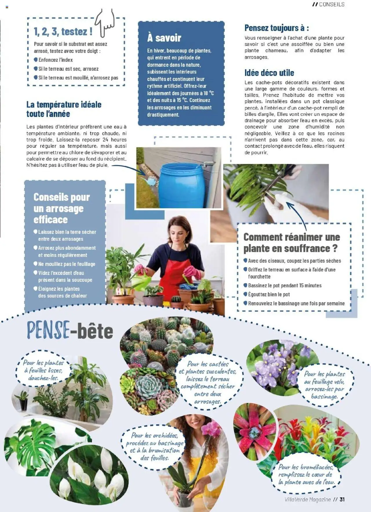 {H1} | Page: 31 | Produits: Plantes, Mais, Terreau, Magazine