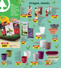 Interspar Kert katalógus - amely érvényes a következő dátumtól: 19.03.2026 | Oldal: 2 | Termékek: Orchidea, Cukkini, Vetőmag, Paradicsom
