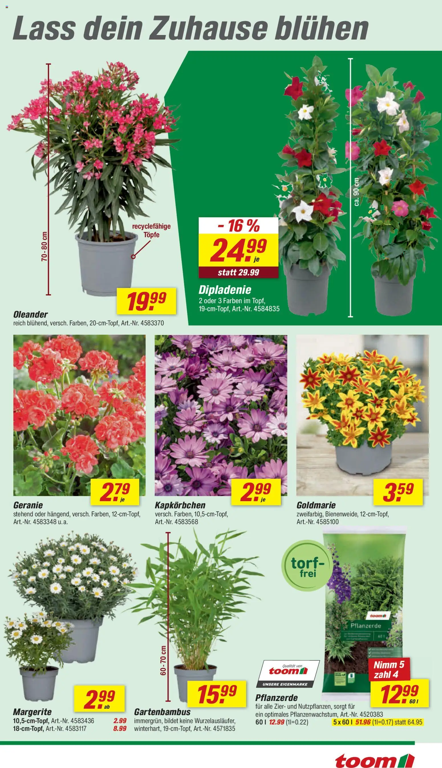Toom Baumarkt Prospekt 	 – gültig ab 02.05.2026 | Seite: 9 | Produkte: Pflanzerde