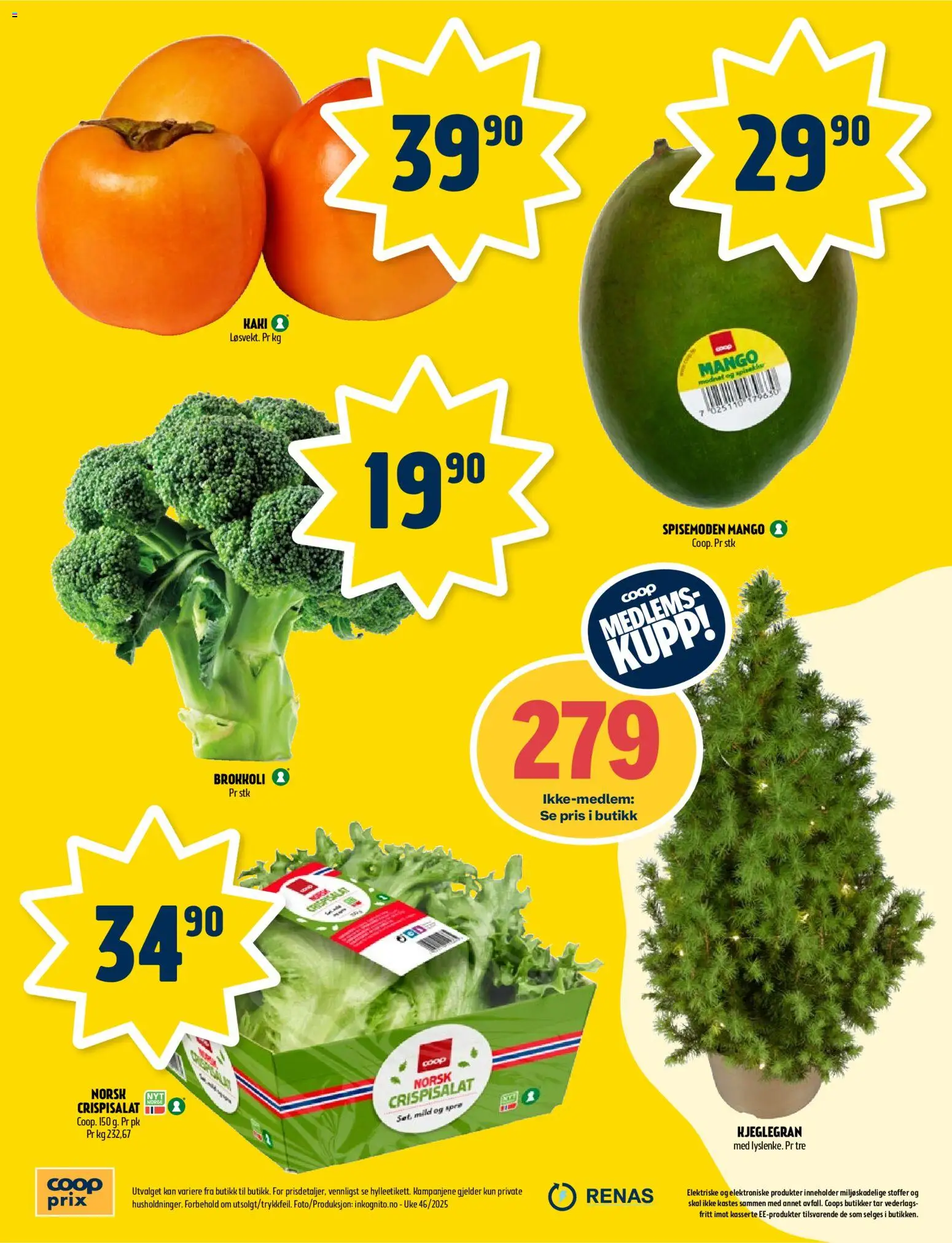 {H1} | Side: 8 | Produkter: Brokkoli, Mango, Crispisalat