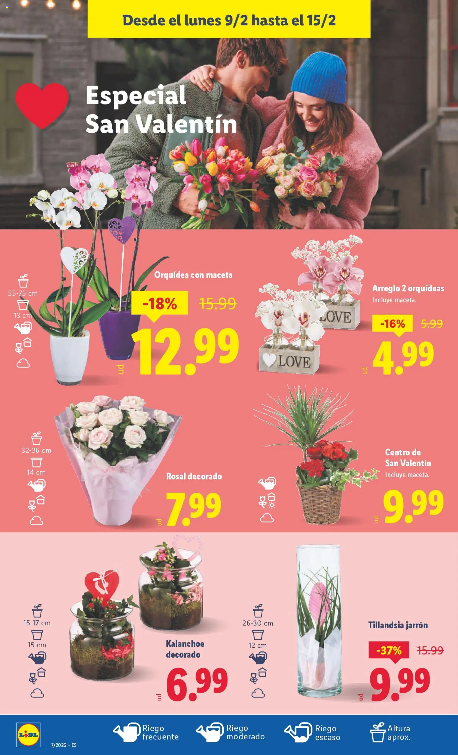 Lidl folleto │ válido desde el 09.02.2026 | Página: 38 | Productos: Maceta, Jarrón