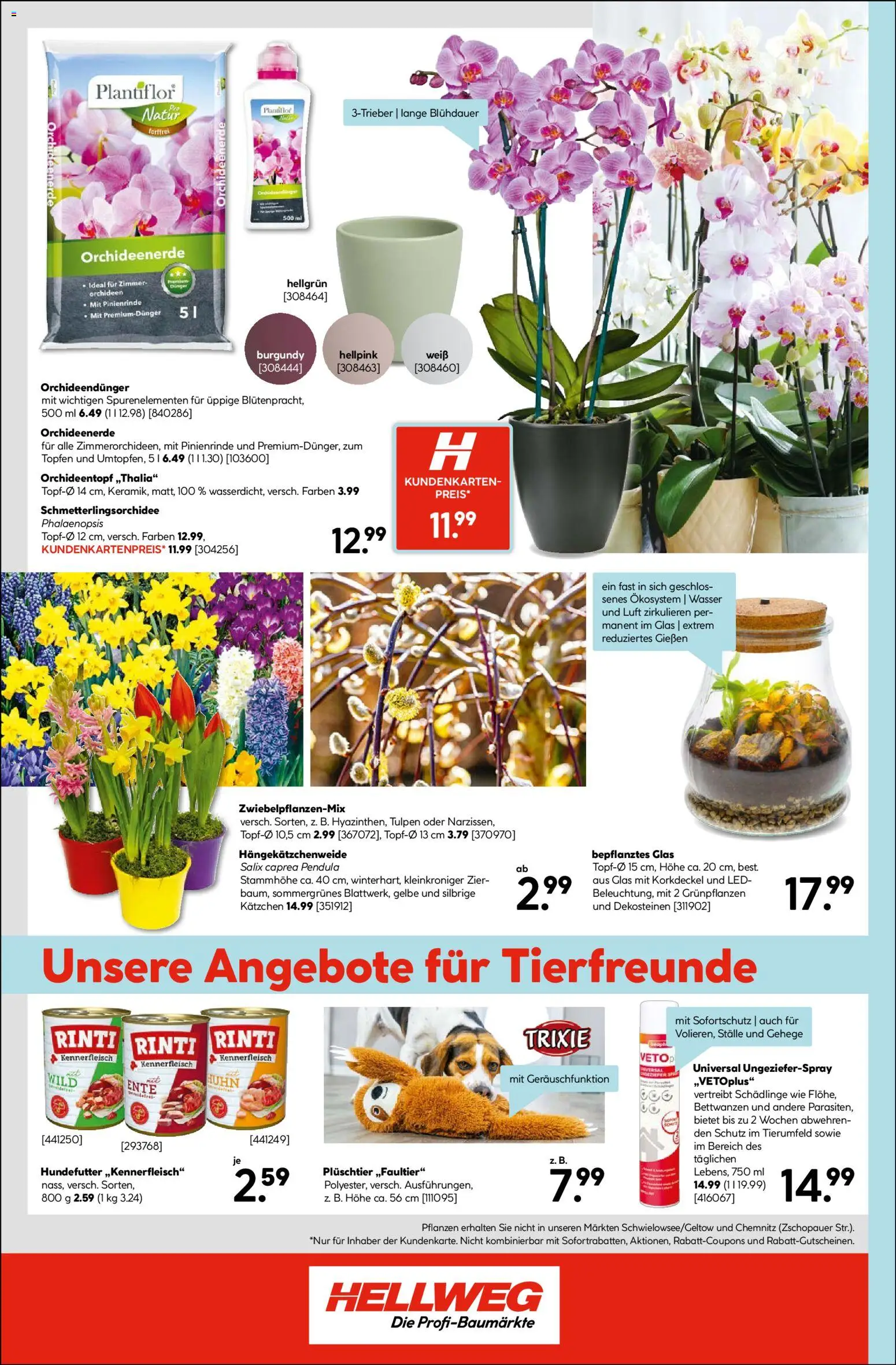 Hellweg Prospekt – gültig ab 19.01.2026 | Seite: 16 | Produkte: Wasser, Ente