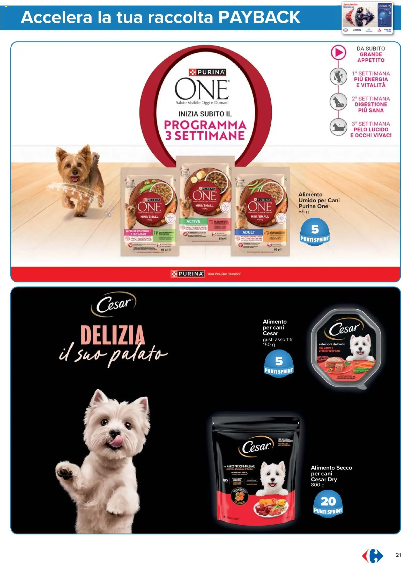 Volantino Carrefour del 02.01.2026 | Pagina: 21 | Prodotti: Manzo, Verdure