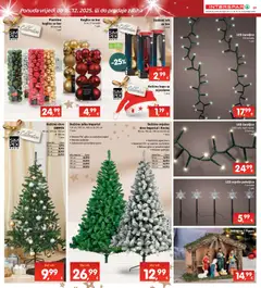 Katalog Interspar - Pregled kataloga iz trgovine Interspar, vrijedi od 03.12.2025 | Stranica: 36 | Proizvodi: Kapa