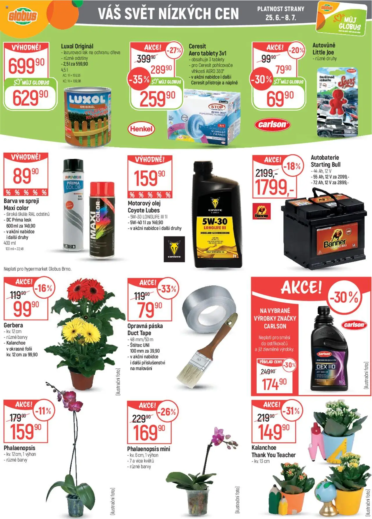 Globus leták od 25.06.2025 | Strana: 38 | Produkty: Kalanchoe, Autobaterie, Motorový olej, Luxol
