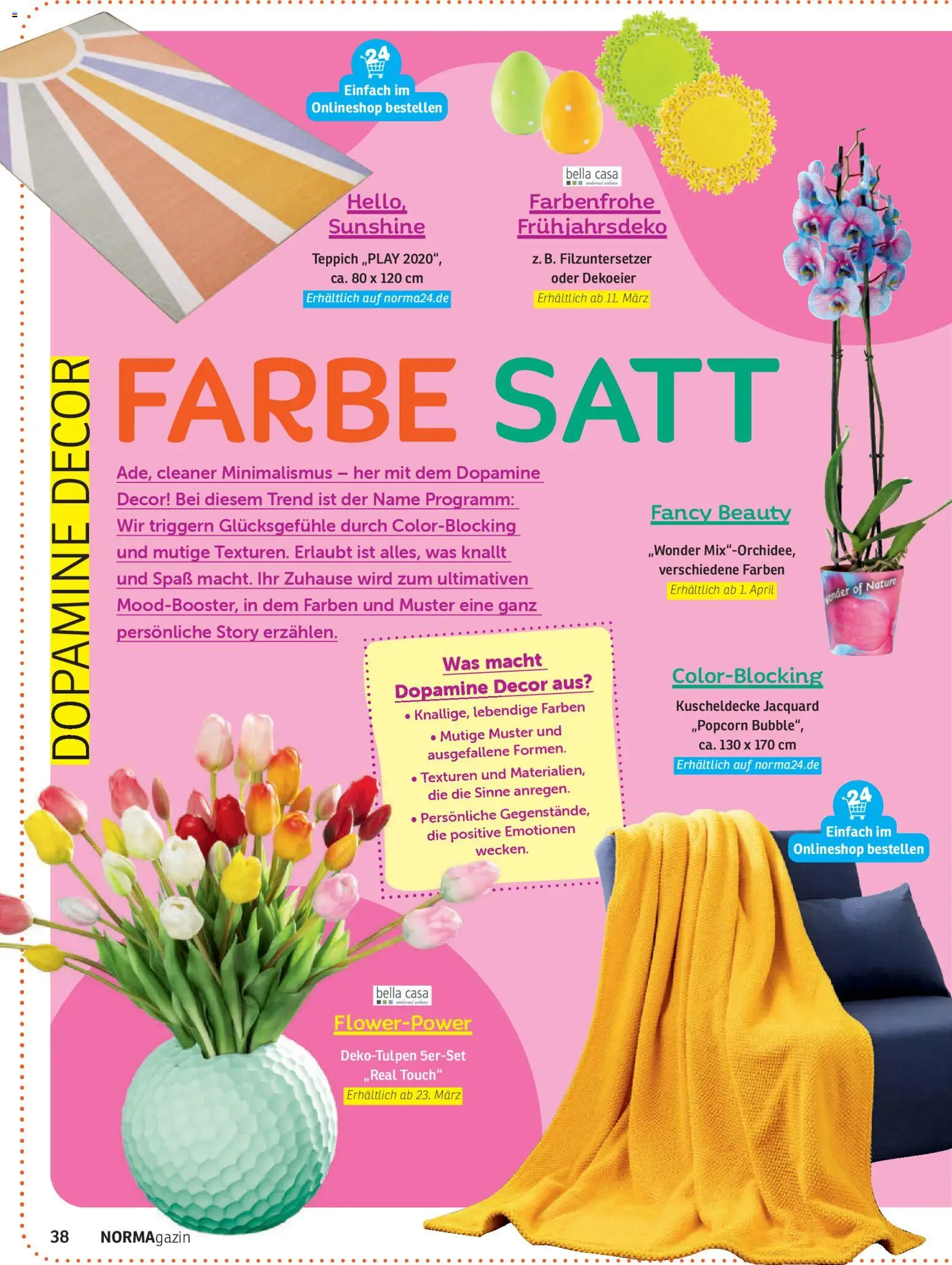 Norma NORMAgazin März/April 2026 – gültig ab 01.03.2026 | Seite: 38 | Produkte: Teppich