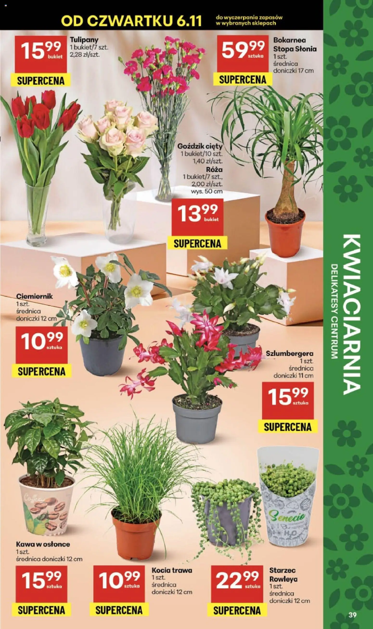 Delikatesy Centrum Gazetka - Sklepy Własne od 06.11.2025 | Strona: 39 | Produkty: Goździk, Doniczki, Kawa, Tulipany